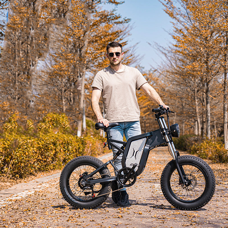 ebike